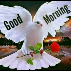 Sis-Thu-Ra Lay, 14.06.1985, Yangon