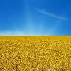 Виктор Петров