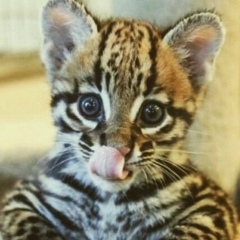 Альфия Насырова, 30.07, Москва