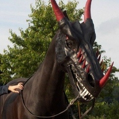 Олег Терещенко, Гомель