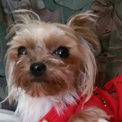 Валентина Вилеева, 13.11, Москва