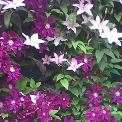 Людмила Бекренева, 21.09, Санкт-Петербург