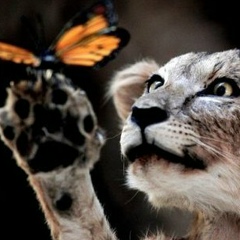 Алексей Соловьев, 01.10.1989, Москва