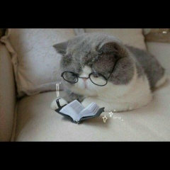 Нурлыгуль Донесова, 25.06, Астана