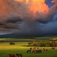 Зерде Зердешкина, 11.09.1988, Алматы