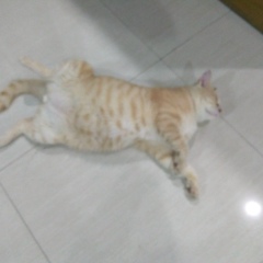 Даниил Симонов, 25.08.1986, Санкт-Петербург