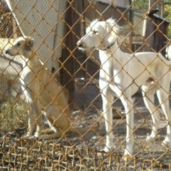 Ержан Садуакасов, 30.10.1979, Сатпаев