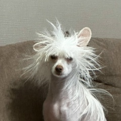 Александр Тубасов, 21.05.1996, Санкт-Петербург