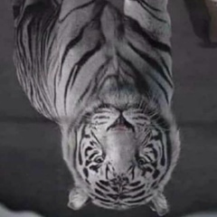 Алла Екимова, 03.08, Королёв