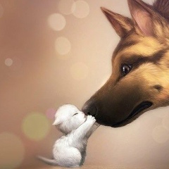 Катерина Дорожкина, Москва