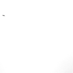 Михаил Долматович, 15.08, Ноябрьск