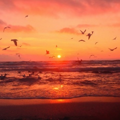 Азамат Касымжанов, Актау