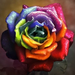 Наташа Одесская, 11.11.1987, Москва