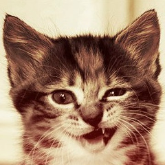 Андрей Смоленков, 11.09.1996, Рига