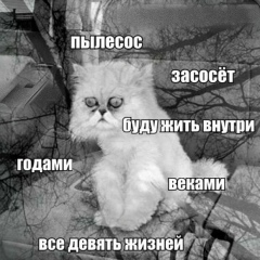 Это Я, Псков