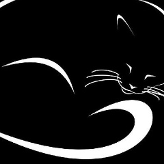 Анастасия Кукушко, Санкт-Петербург