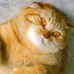 Жанна Смирнова, 10.08.2005, Чебоксары