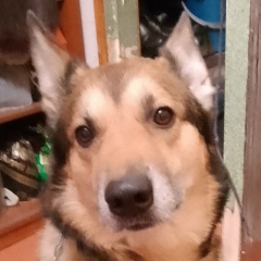 Deniska Игошин, 25.01.1989, Каменск-Уральский