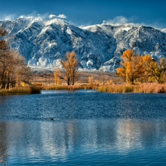 Виталик Салемгареев, Уфа