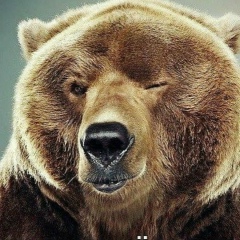 Андрей Миськов, 06.02, Санкт-Петербург