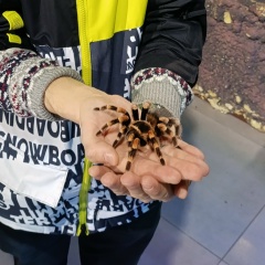 Дмитрий Холкин, 23.03, Санкт-Петербург