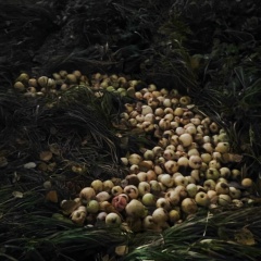 Роман Чернышёв, 23.12.1985, Санкт-Петербург