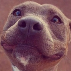 Леонид Фишер, 11.11.1985, Москва