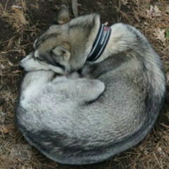 Мария Тайгина, 29.12.1984, Уфа