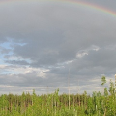 Семен Прокофьев, 11.01.1986, Москва