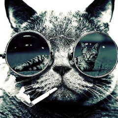 Егор Сапёров, Москва