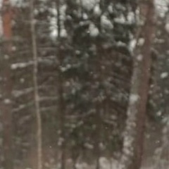 Сириня Галятдинова, 12.10.1981