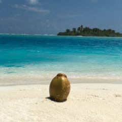 Михаил Николаев, 24.04.1987, Москва