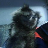 Андрей Рудковский, 02.03, Севастополь