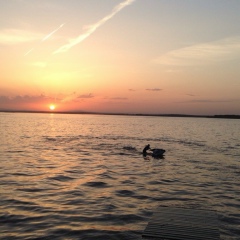 Егор Крикуха, 01.12.1986