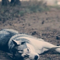 Игорь Ожигов, 22.03, Азнакаево