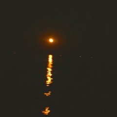 Катя Горбунова, 22.06.2001