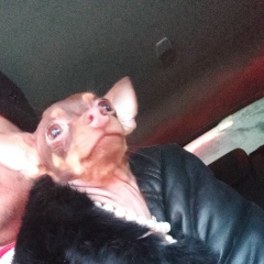 Денис Пантелеев, Челябинск