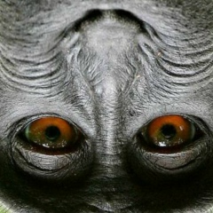 Александр Глушков, 01.01.1982, Москва