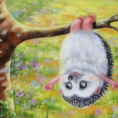 Катя Емельянова, 30.07.1989, New York City