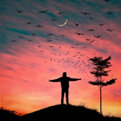 Нарек Касян, 14.07