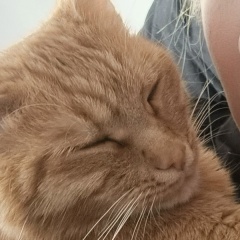 Алена Комлева, 24.07, Вышний Волочек