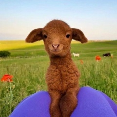 Людмила Князева, 30.08, Москва