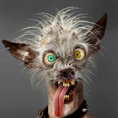 Александр Снегирев, 18.06.1981, Вологда