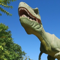 Александр Царев, 29.06.1987, Нижний Новгород