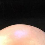 Sergio Morello, 22.01.1987, Санкт-Петербург