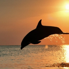 Zhannochka Chistjakova, 08.04.1983