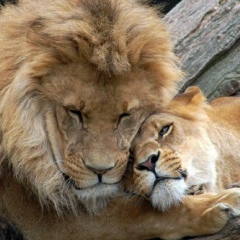 Фархад Туракбаев, 15.10.1986, Актау