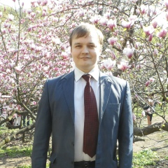 Александр Громовой, Киев