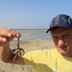 Дмитрий Вордяков, 16.10.1990, Краснодар