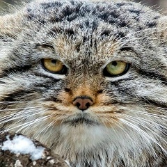 Юрий Грозенюк, 17.12.1967, Стерлитамак